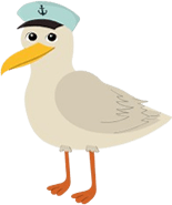 seagull